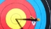 Trial - Speed Pro Max 23 Series Target Arrows - 23seriesTrial