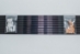 Trial - WORLD'S FASTEST SMALL DIAMETER ARROW - Max MACH 1 5mm/.204"ID Arrows   - MACH1trial